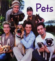 NSYNC WITH PETS!!