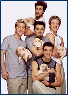 NSYNC!!